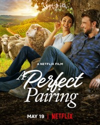 Phim Bộ đôi hoàn mỹ - A Perfect Pairing (2022)