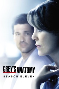 Phim Ca Phẫu Thuật Của Grey (Phần 11) - Grey's Anatomy (Season 11) (2014)