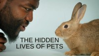 Phim Cuộc sống bí mật của thú cưng - The Hidden Lives of Pets (2022)
