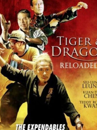 Phim Đả Lôi Đài - Tiger and Dragon Reloaded (2010)