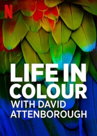 Phim David Attenborough: Sự sống đầy màu sắc - Life in Colour with David Attenborough (2021)