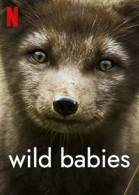 Phim Động vật chào đời - Wild Babies (2022)