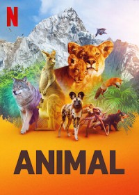 Phim Động vật (Phần 1) - Animal (Season 1) (2021)