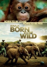 Phim Những Loài Vật Mồ Côi - Born to Be Wild (2011)