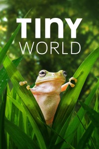Phim Thế Giới Siêu Nhỏ (Phần 2) - Tiny World (Season 2) (2021)