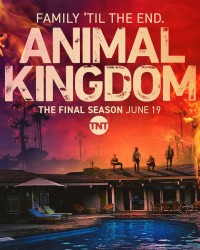 Phim Vương quốc động vật (Phần 6) - Animal Kingdom (Season 6) (2022)