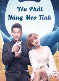 Phim Yêu Phải Nàng Meo Tinh - Falling in Love With Cat (2020)